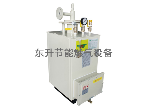 粉色视频下载免费完整版高清中文(LPG)防爆型粉色视频官网大全器(DS30—50kg／h)
