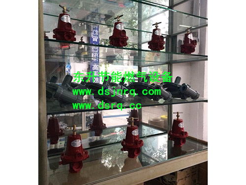 粉色视频下载免费完整版高清中文粉色视频官网大全炉  燃气减压阀